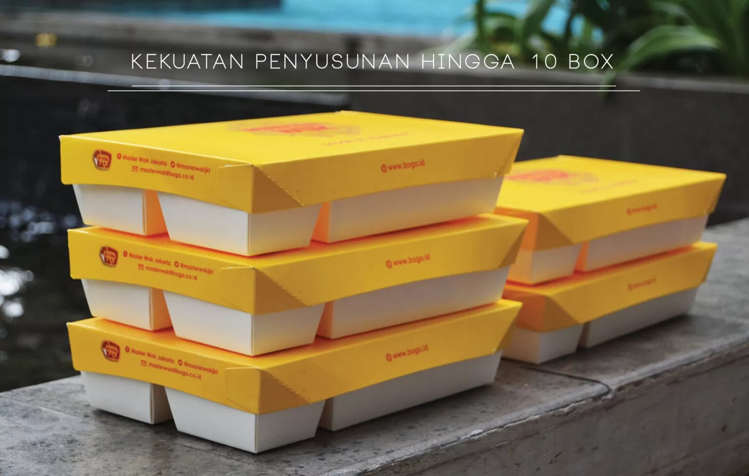 Box Kemasan Makanan