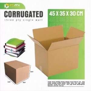 Karton Box Polos